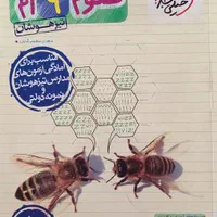 پکیج کامل تیزهوشان و نمونه دولتی پایه نهم|خدمات آموزشی|اردبیل, |دیوار