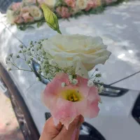گل آرایی تشریفات|خدمات پذیرایی، مراسم|کرمان, |دیوار