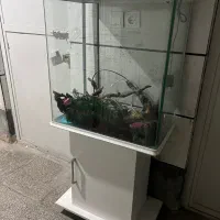آکواریوم مارک آکوآ