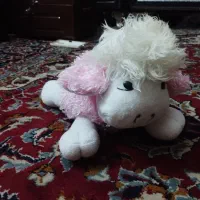 دو عدد عروسک سالم و بسیار خوشکل