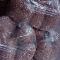 بادام زمینی تازه استانه اشرفیه