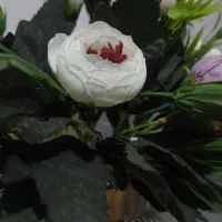 فیش حج تمتع