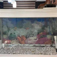 آکواریوم شیشه خم شرکتی