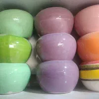 گلدان سرامیکی کاکتوسی