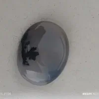 عقیق شجر|جواهرات|سنقر, |دیوار