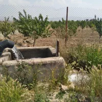 زمین زراعی مناسب باغچه و گلخانه