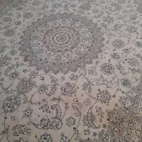 فرش سالم ۱۲متردوجفت