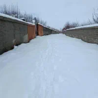 باغ ثمری استثنایی|فروش زمین و ملک کلنگی|شیراز, ارم|دیوار