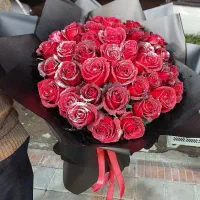 گل رز|گل و گیاه طبیعی|اصفهان, شاهزید|دیوار