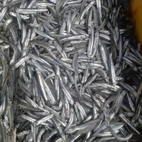 خرید تناژبالاماهی خشک درجه ۱ وفروش درجه ۲|ماهی|قشم, |دیوار