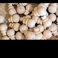 خدمات خراطی