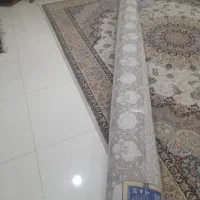 فرش ۱۲متری ۷۰۰شانه|فرش|گرگان, |دیوار