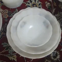 ارکوپال گل میوه