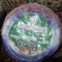 سیم برق