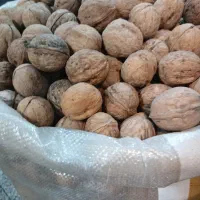 مغز گردو و گردو باپوست|عمده‌فروشی|تهران, هرندی|دیوار