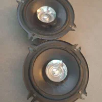 جفت باند پایونیر G1310F