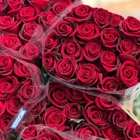 همکار آقا کار در گلفروشی نیازمندیم