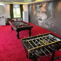 میز بیلیارد استاندارد کد T8732 تحویل فوری|ورزشهای توپی|کرمان, |دیوار