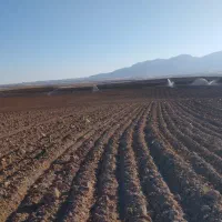 سلام زمین آبی میخام برا اجاره