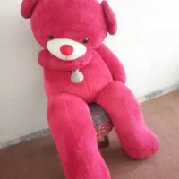 خرس ۱۶۰سانتی