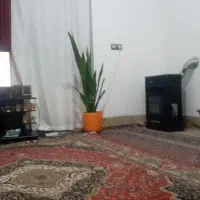 هم-خونه