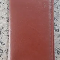 پیدا شده