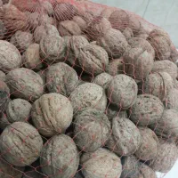 گردوفروشی