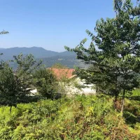 فروش-زمین472متری-تو-بافت-مسکونی