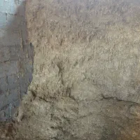 پرس علف سبز