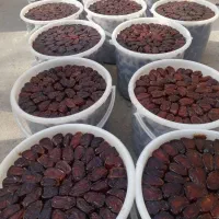 خرما کبکاب ،خاصویی خاصی ،استعمران خوزستان صادراتی|خوردنی و آشامیدنی|تهران, نیروی هوایی (پیروزی)|دیوار