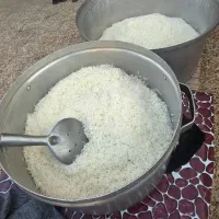 به یک نیروی جوان آقا و یک خانم در غذا خانگی