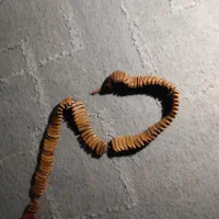 تسبیح هسته خرما اصل مار کبری