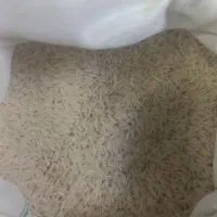 برنج شیرودی مازندران ،عنبر بوی طغیان (عمده ای)|خوردنی و آشامیدنی|باغستان, |دیوار