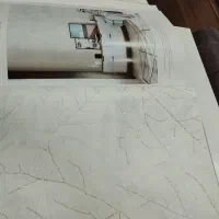 جشنواره ویژه کاغذ دیواری|خدمات پیشه و مهارت|ایلام, |دیوار