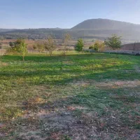 5 هزار متر باغچه ییلاقی به قیمت کاسبی (دودانگه)|فروش زمین و ملک کلنگی|فریم, |دیوار