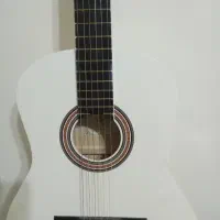 گیتار شیک و کلاسیک