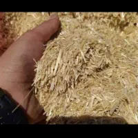 کاه گندم دیم و ابی و پرس یونجه و بیده