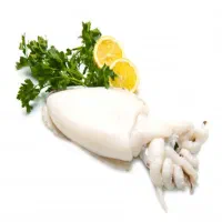 ماهی فیله درجه ۱