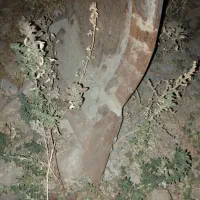 گاوآهن رومانی|ماشین‌آلات صنعتی|شاهیوند, |دیوار