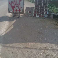 نیرو جهت همکاری دربساط میوه فروشی ۵۵۰ روز مزد
