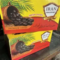 تولید کننده انواع کارتن خرما