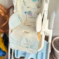 کالسکه مکسی کوزی و صندلی غذا