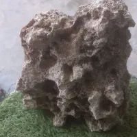 سنگ  طبیعی اکواریوم