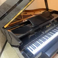 پیانو دیجیتال راوی|پیانو، کیبورد، آکاردئون|تهران, فرمانیه|دیوار