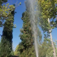 خدمات باغبانی سم پاشی هرس کاشت چمن وبرش درخت تیلر