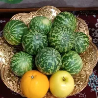 هندوانه طبیعی بادوام یلدای دونه 50|گل و گیاه طبیعی|کرمانشاه, |دیوار