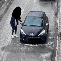 اجاره خودرو207با راننده دربستی