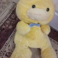 خرس وادرک سایز بزرگ قیمت فقط ۳۵۰تومن