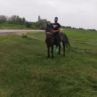 ۷۰ ملیون تخفیف پای مامعله