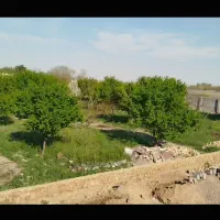 زمین-مسکونی-2500-متر-معاوضه-با-باغ